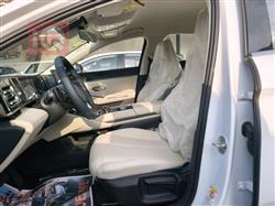 بي واي دي كوين L DM-i